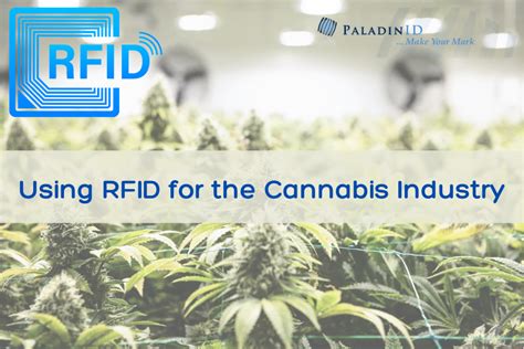 RFID For Cannabis: Why The Cannabis Industry Needs RFID